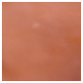 Rosenauge Stoff (Muster)