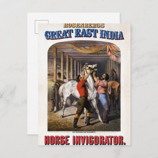 Rosenbergs "Great East India Horse Invigorator". Postkarte (Vorne/Hinten)