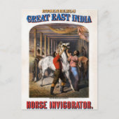 Rosenbergs "Great East India Horse Invigorator". Postkarte (Vorderseite)
