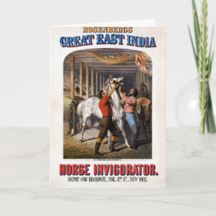 Rosenbergs Großer Ostindien-Pferde-Invigorator. Karte