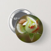 Rosenbläschen Button (Vorne & Hinten)