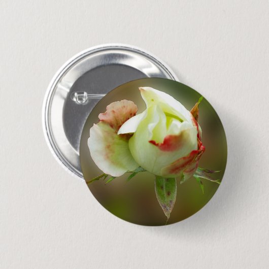 Rosenbläschen Button (Vorne & Hinten)