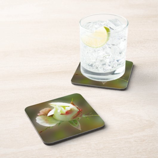 Rosenbläschen Getränkeuntersetzer (Rechte Seite)