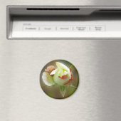 Rosenbläschen Magnet (In Situ (Geschirrspüler))