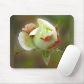 Rosenbläschen Mousepad (Mit Mouse)