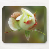 Rosenbläschen Mousepad (Vorne)