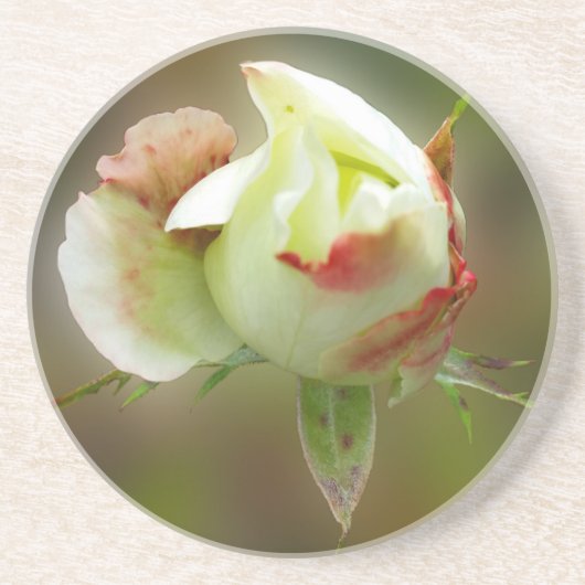 Rosenbläschen Untersetzer (Vorne)