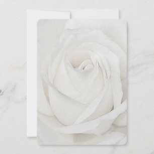 Rosenblätter Mitteilungskarte