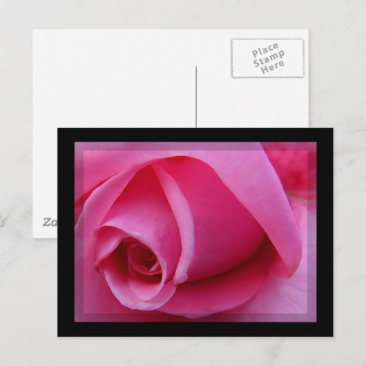 Rosenblätter Postkarte (Vorne/Hinten)