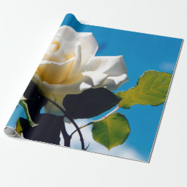 Rosenblümchen Geschenkpapier