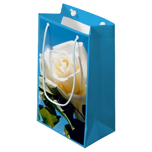 Rosenblümchen Kleine Geschenktüte (Vorderseite Schrägansicht)