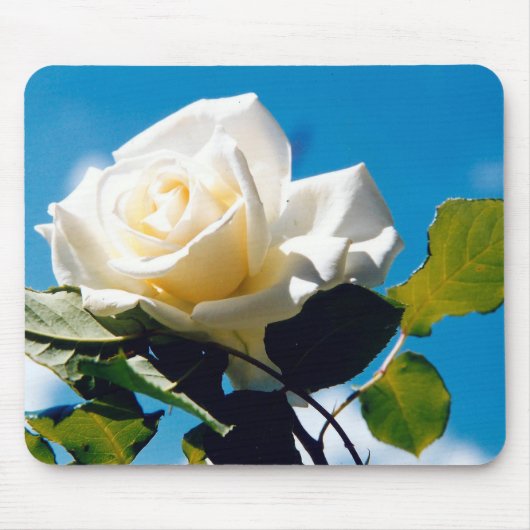 Rosenblümchen Mousepad (Vorne)