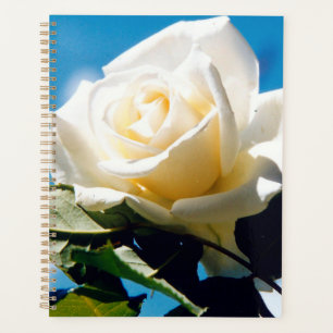 Rosenblümchen Planer