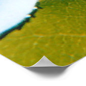 Rosenblümchen Poster (Ecke)