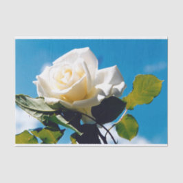 Rosenblümchen Seidenpapier