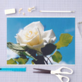 Rosenblümchen Seidenpapier (Handwerk)