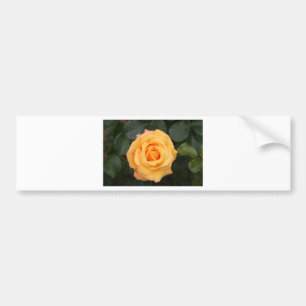 Rosenblumen Blumen Liebe Ehefrau Schatz Paar Autoaufkleber