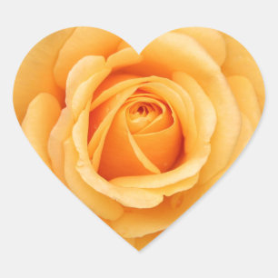 Rosenblumen Blumen Liebe Ehefrau Schatz Paar Herz-Aufkleber