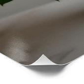 Rosenblüte Poster (Ecke)