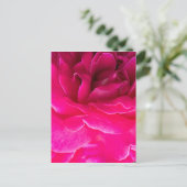 Rosenblüte Postkarte (Stehend Vorderseite)