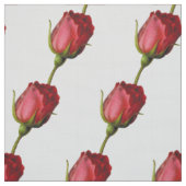 Rosenblüte Stoff (Muster)