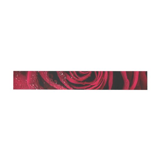 Rosenblüten 1 (Person)