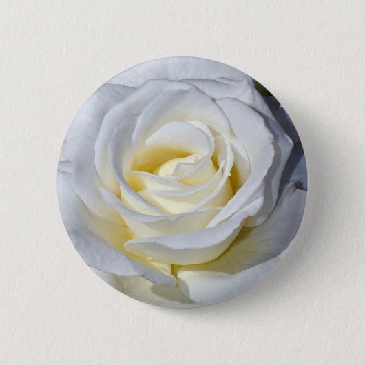 Rosenblüten aus Single Button (Vorderseite)