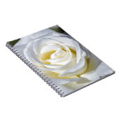 Rosenblüten aus Single Notizblock (Rechte Seite)