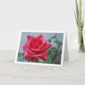 Rosenblütenportrait Karte (Vorderseite)