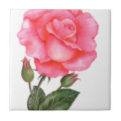 Rosenbotanische Illustration Fliese (Vorderseite)