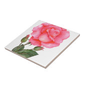 Rosenbotanische Illustration Fliese (Seite)