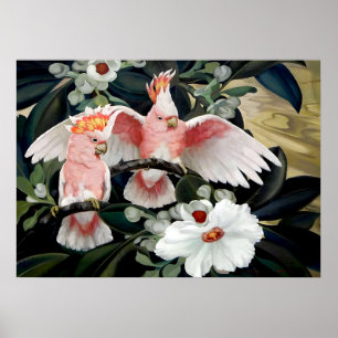 Rosenbrustkakadus von Jessie Arms Botke Poster