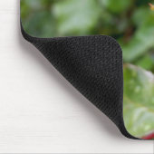 Rosenbud im Regen Mousepad (Ecke)