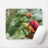 Rosenbud im Regen Mousepad (Mit Mouse)