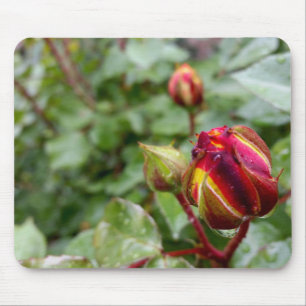 Rosenbud im Regen Mousepad