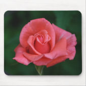 Rosenbügel Mousepad (Vorne)