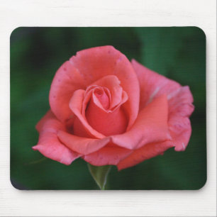 Rosenbügel Mousepad