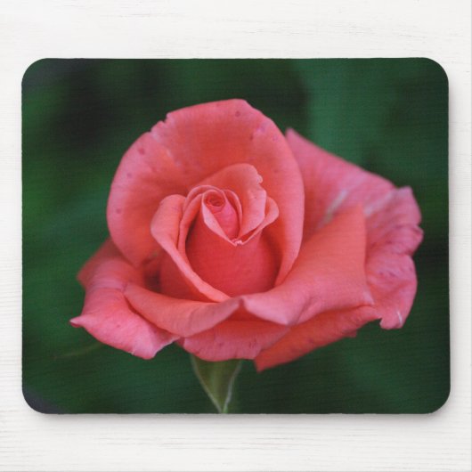 Rosenbügel Mousepad (Vorne)