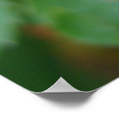 Rosenbügel Poster (Ecke)