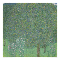 Rosenbüsche unter den Bäumen - Gustav Klimt