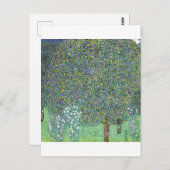 Rosenbüsche unter den Bäumen, Gustav Klimt Postkarte (Vorne/Hinten)