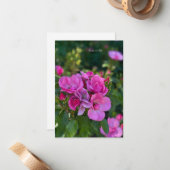 Rosencluster Mitteilungskarte (Vorderseite/Rückseite Beispiel)