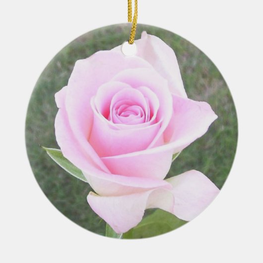 Rosendenkmal-Ornament-2 Keramikornament (Vorne)