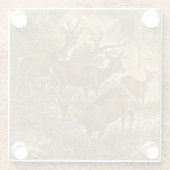Rosenfamilie - Hirsche im Wald Glasuntersetzer (Rückseite)