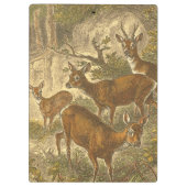 Rosenfamilie - Hirsche im Wald Klemmbrett (Rückseite)