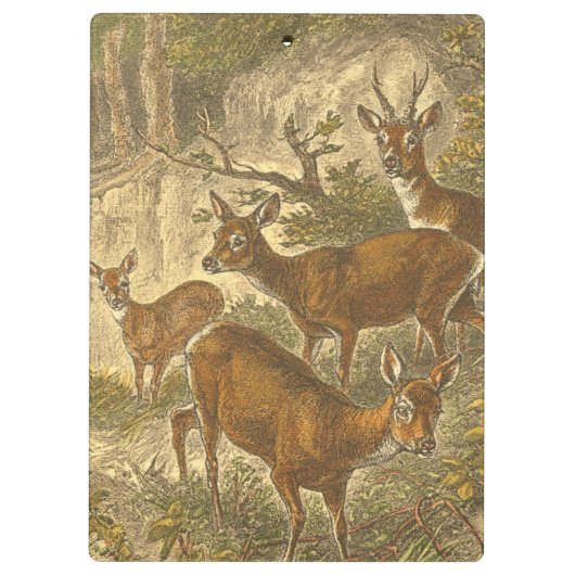 Rosenfamilie - Hirsche im Wald Klemmbrett (Rückseite)