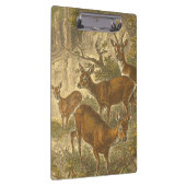 Rosenfamilie - Hirsche im Wald Klemmbrett (Rechts)