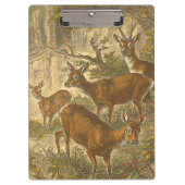 Rosenfamilie - Hirsche im Wald Klemmbrett (Vorderseite)