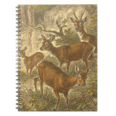 Rosenfamilie - Hirsche im Wald Notizblock (Vorderseite)