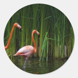 ROSENFLAMINGO RUNDER AUFKLEBER
